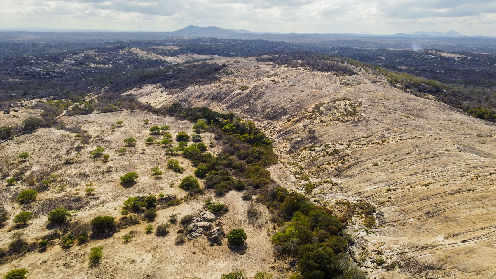 Fazenda Salambaia, em Boa Vista (PB), tem locais onde a mata da Caatinga está preservada