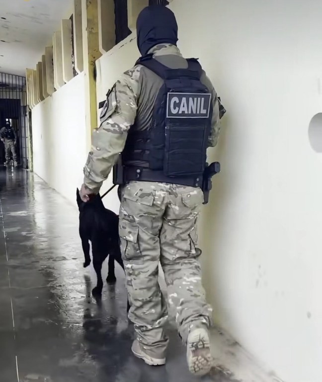 Paraíba encerra sua participação na 8ª fase da Operação Mute_3