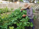 SEAP-PB e Pronatec transformam vidas com Curso de Agricultor Orgânico, em Penitenciária de João Pessoa_4.jpg