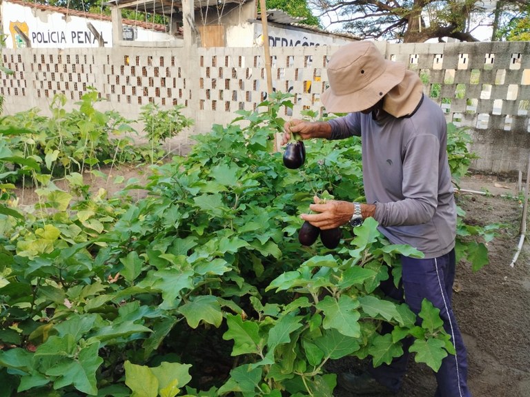 SEAP-PB e Pronatec transformam vidas com Curso de Agricultor Orgânico, em Penitenciária de João Pessoa_4.jpg