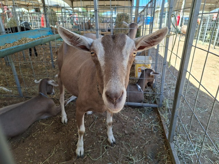 Foto: Reprodução/Secom Paraíba