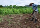 26_06_19 Agricultor recupera vegetação em margem de riacho e diversifica atividades (5).JPG