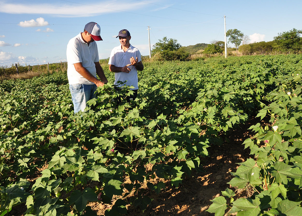 10_07_19 Jovem retorna ao meio rural e diz que vale a pena trabalhar no Semiárido (1).JPG