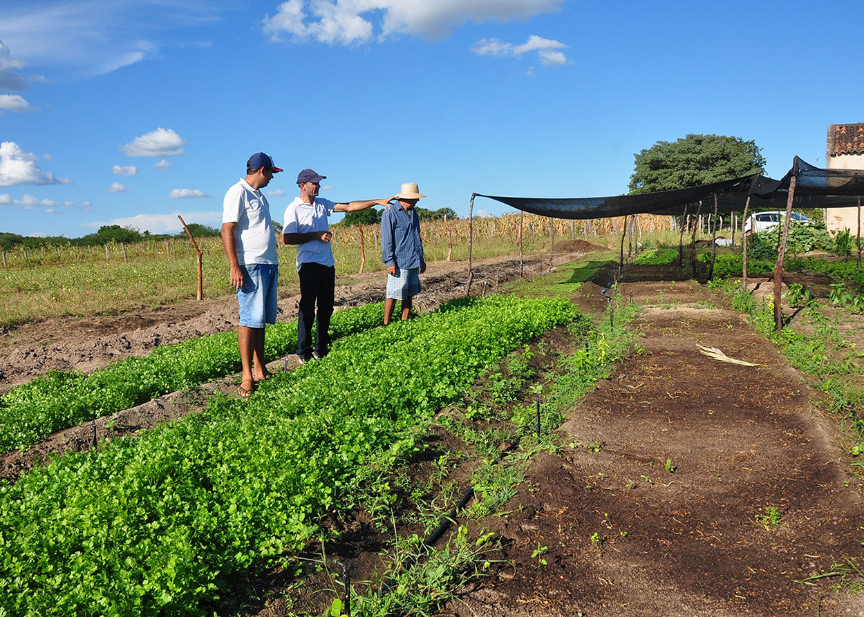 10_07_19 Jovem retorna ao meio rural e diz que vale a pena trabalhar no Semiárido (2).JPG