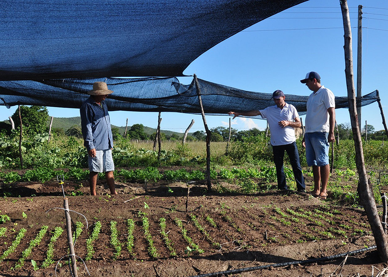 10_07_19 Jovem retorna ao meio rural e diz que vale a pena trabalhar no Semiárido (3).JPG