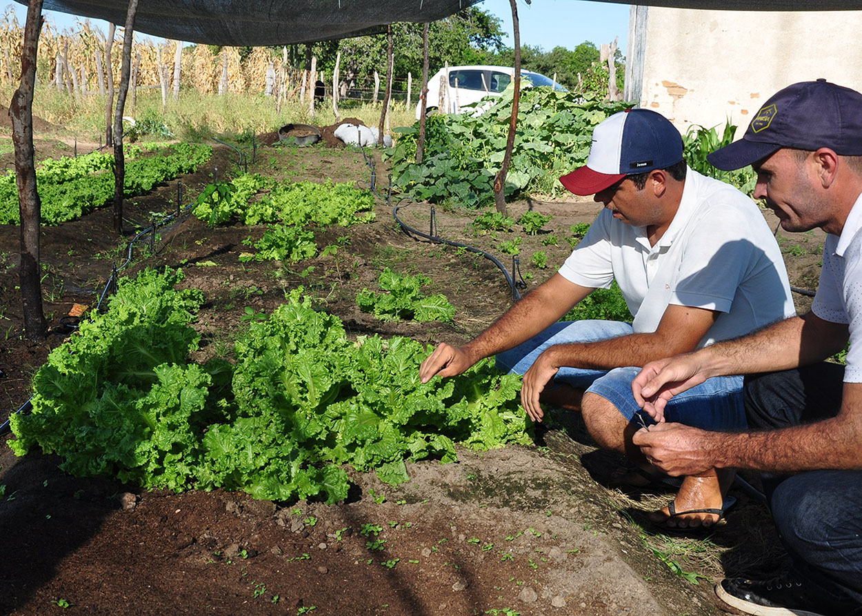 10_07_19 Jovem retorna ao meio rural e diz que vale a pena trabalhar no Semiárido (4).JPG