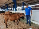 Jaime Moura - criador de minianimais.jpg