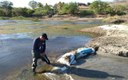 aesa realiza limpeza da calha do rio paraiba 2.jpg