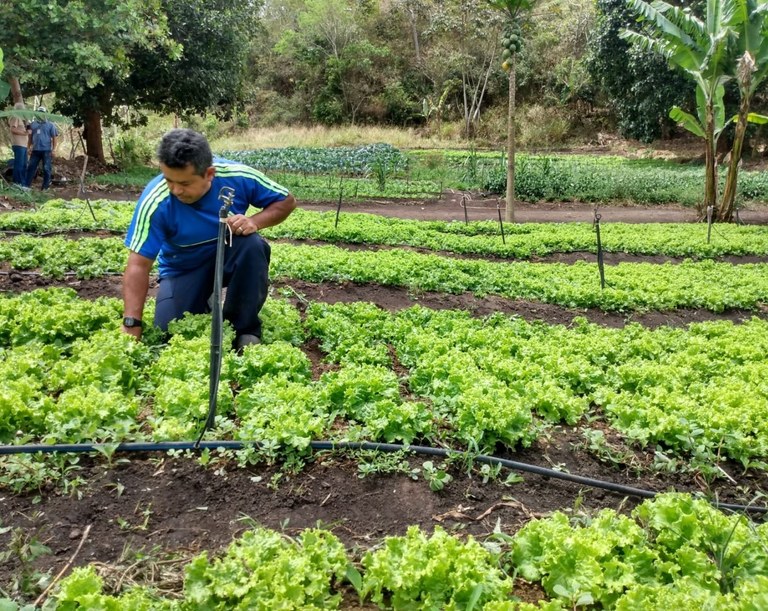 Foto: Reprodução/Secom Paraíba