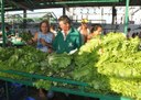 25_10_19 Agricultores de Teixeira conhecem experiência na Feira do Produtor da Empaer (1).jpg