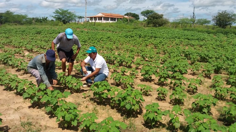 cajaeirinhas2 24 07.jpg