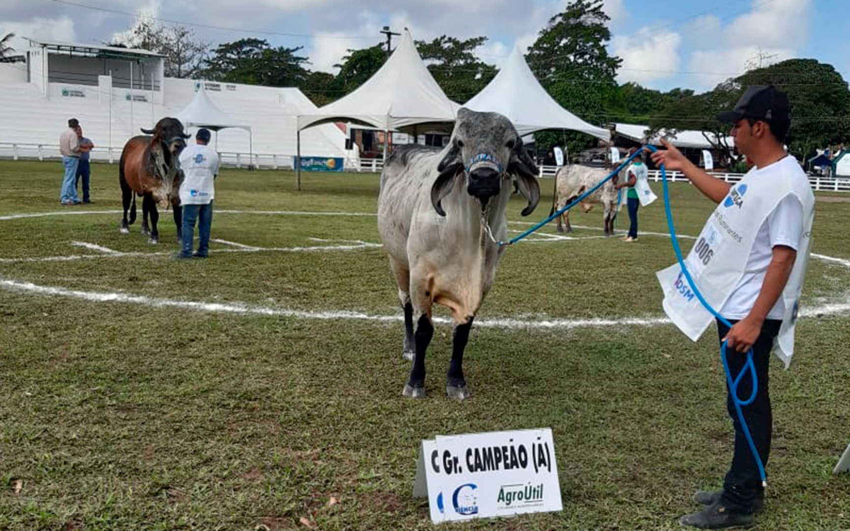 empaer expofeira com 16 premios para animais gado sindi (1).jpg