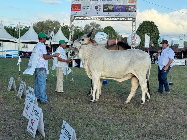 PREMIO GUZERÁ. 3 28-05.jpg