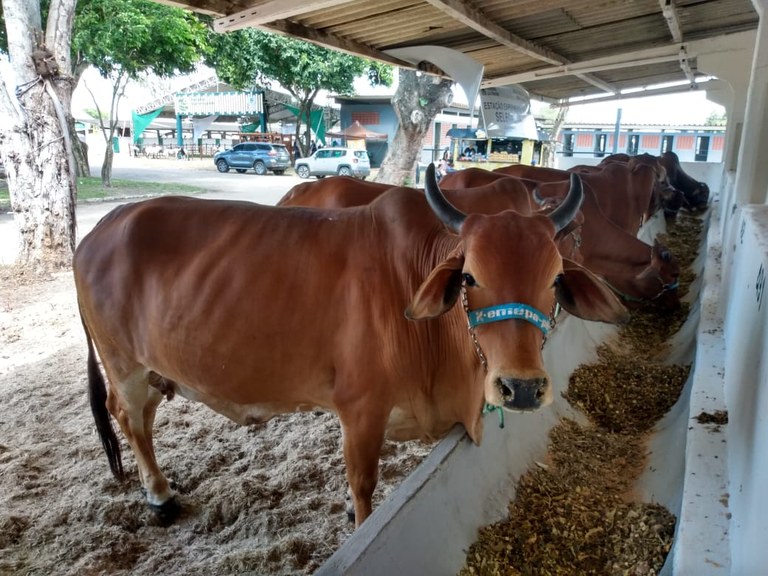 Foto: Reprodução/Secom Paraíba