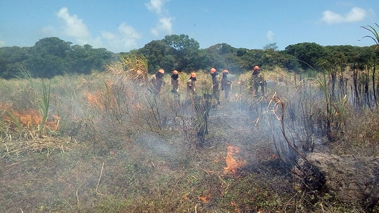 19.01.18-bombeiros-3-1.jpeg