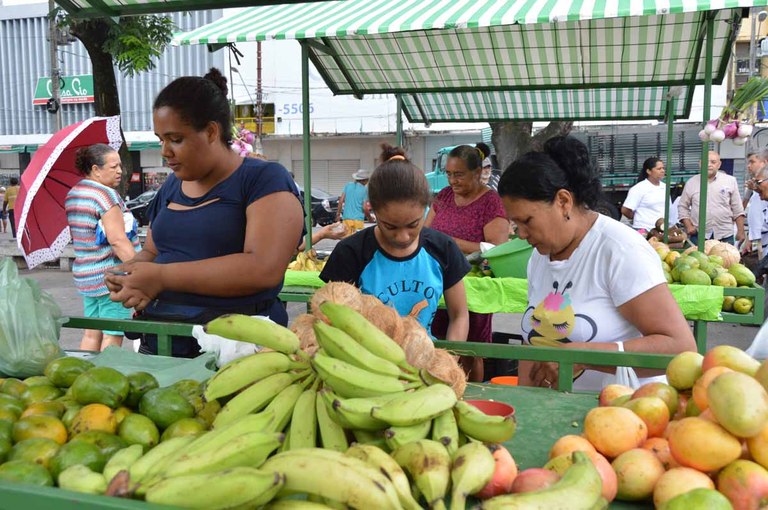 SEDH feira organica_foto luciana bessa (6).JPG