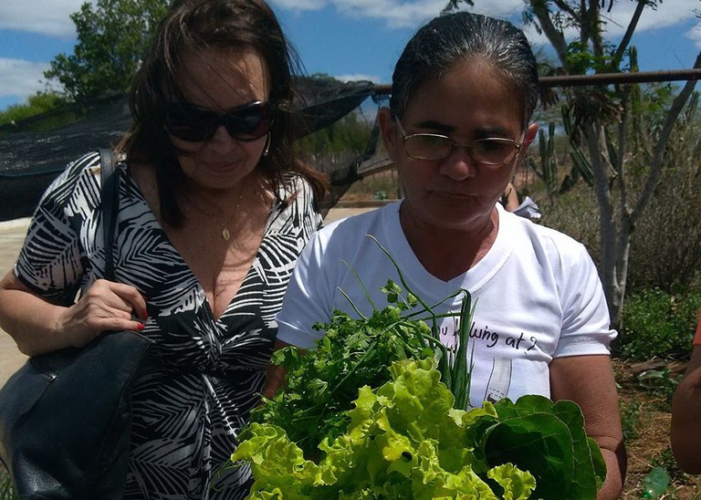 12_08_19 Cooperar visista feira de agroecologica em Soledade e Cubati (2).jpg