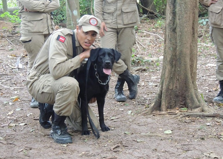 07_10_19 Corpo de Bombeiros realiza Estágio de Busca, Resgate e Salvamento com Cães com cadetes do CFO (1).jpg
