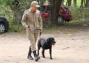07_10_19 Corpo de Bombeiros realiza Estágio de Busca, Resgate e Salvamento com Cães com cadetes do CFO (2).jpg