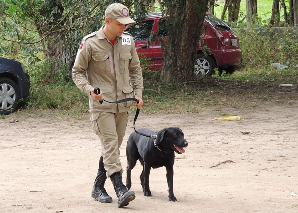 07_10_19 Corpo de Bombeiros realiza Estágio de Busca, Resgate e Salvamento com Cães com cadetes do CFO (2).jpg