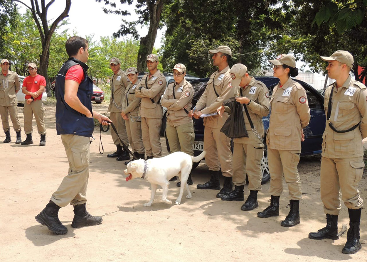 07_10_19 Corpo de Bombeiros realiza Estágio de Busca, Resgate e Salvamento com Cães com cadetes do CFO (3).jpg