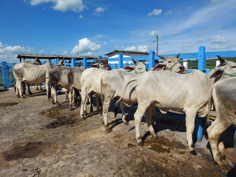 Foto: Reprodução/Secom Paraíba