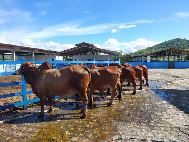 Foto: Reprodução/Secom Paraíba