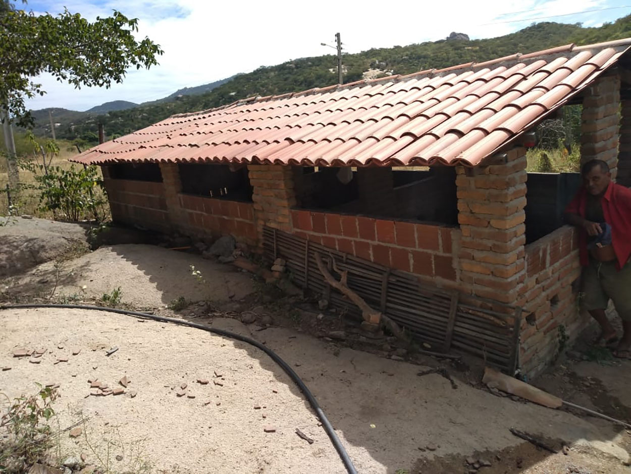 26_06_19 Família em Mãe D’Água ganha o sustento cultivando coentro (3).jpg