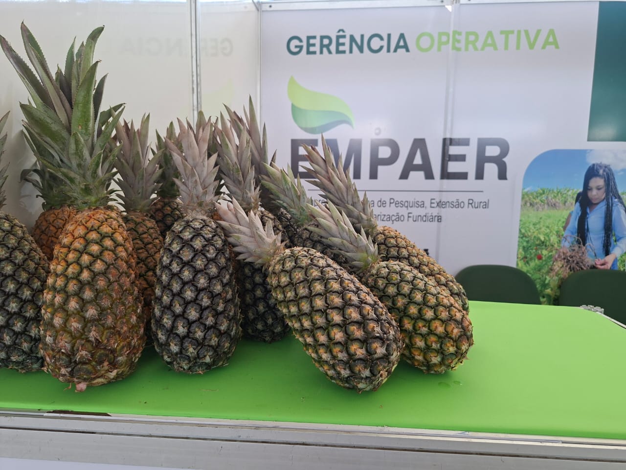 Expo Abacaxi - Itapororoca 3.jpeg