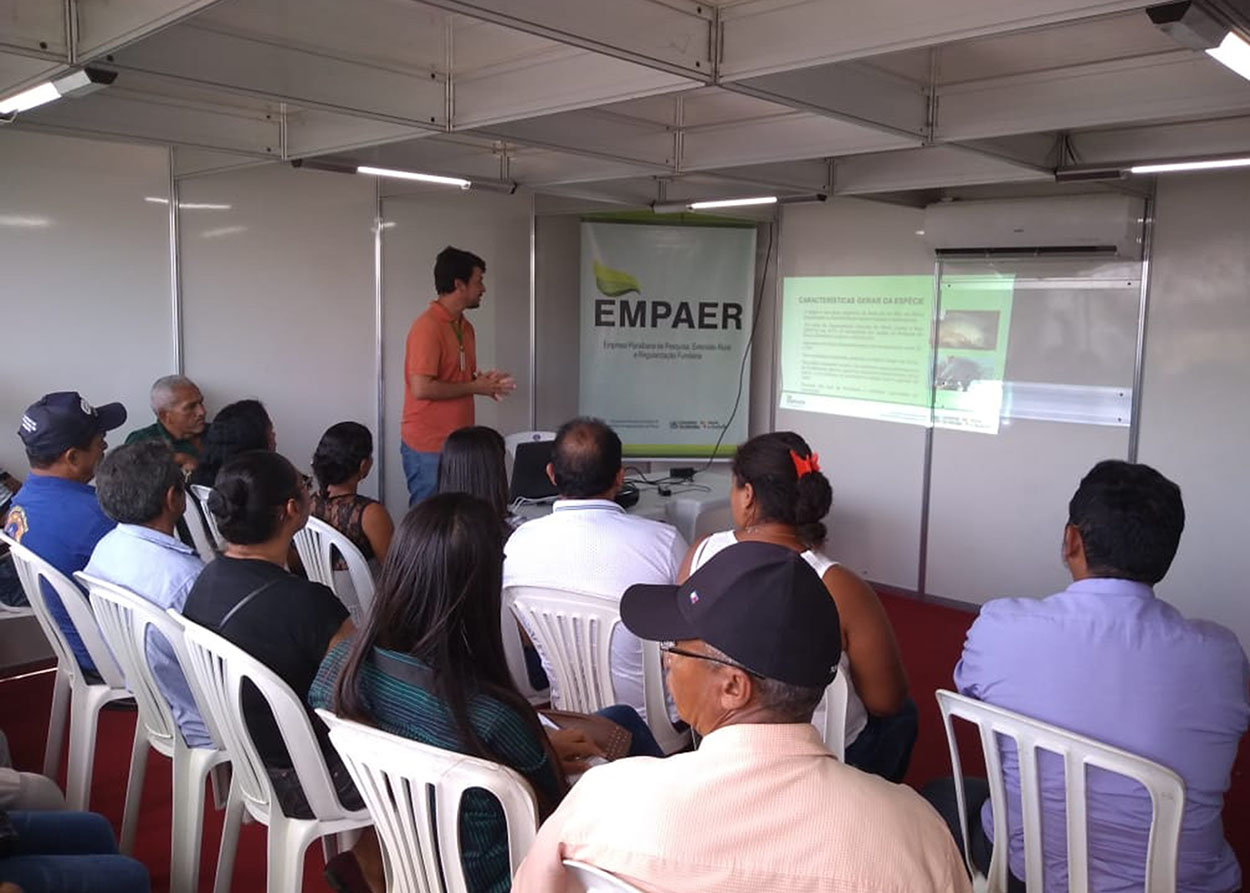 13_08_19 Empaer capacita agricultores durante Feira da Agricultura Familiar em Caaporã (3).jpg