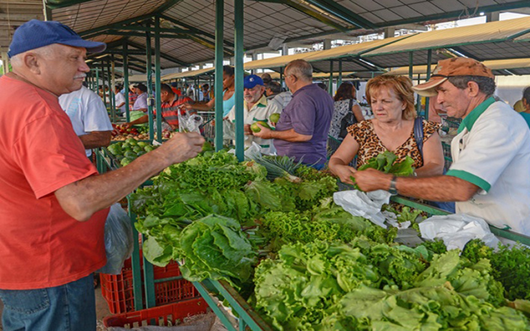 empaer feira da agricultura familiar (3).jpg