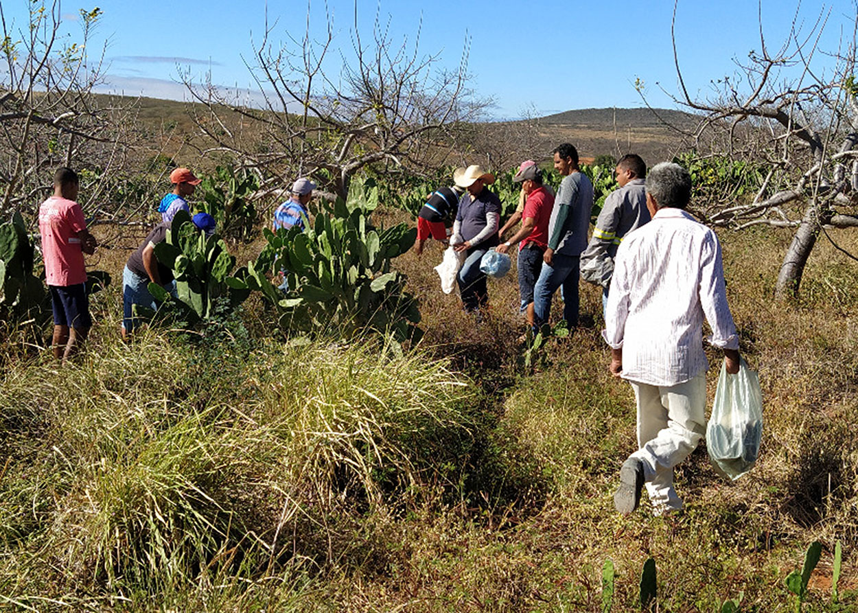 19_09_19 Empaer realiza Dia Especial sobre cultivo de palma forrageira em Água Branca (1).jpg