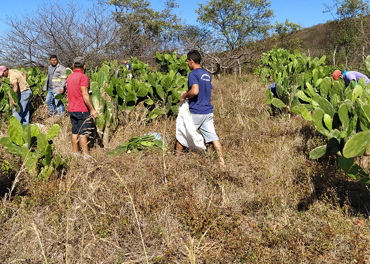 19_09_19 Empaer realiza Dia Especial sobre cultivo de palma forrageira em Água Branca (3).jpg