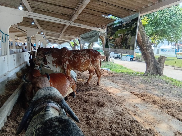 EXPOSIÇÃO 25 14.jpg