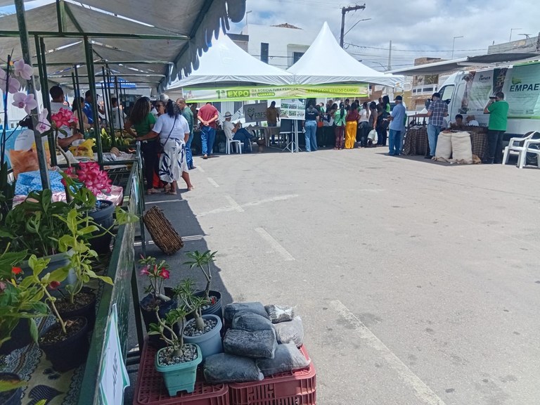 Foto: Reprodução/Secom Paraíba