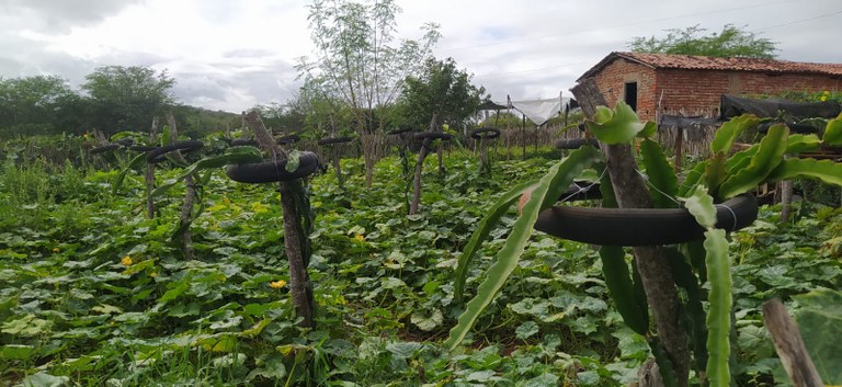 Foto: Reprodução/Secom Paraíba