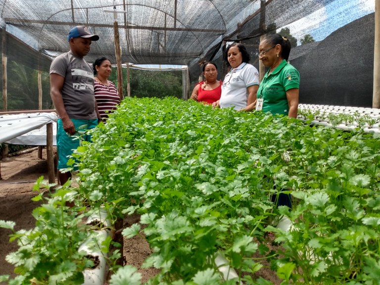 Foto: Reprodução/Secom Paraíba