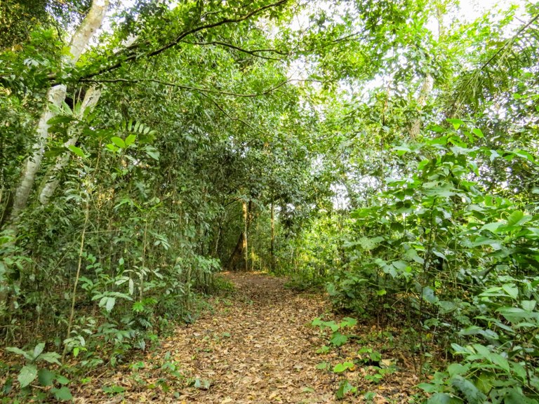 Jardim_Botanico_-_Beatriz_Avelino_(11).jpg