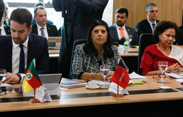 vice gov ligia reuniao de governadores em brasilia (2).jpg