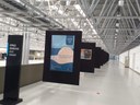 exposição aurora5.jpeg