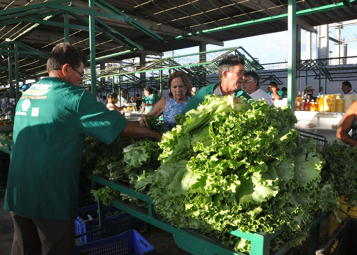 12_07_19 Governo instalou oito feiras do produtor em 2019 e programa será estendido para outros municíp (2).JPG