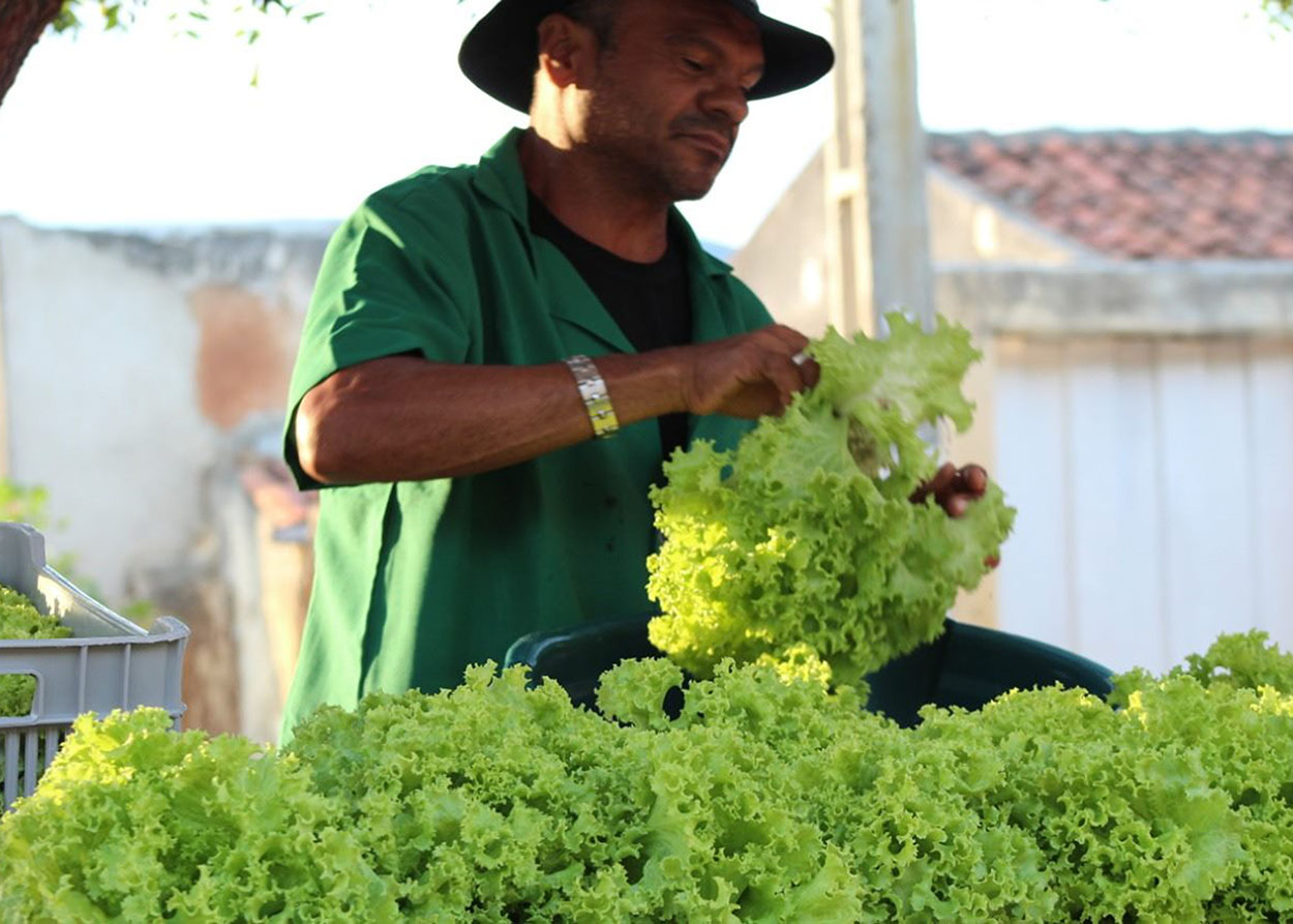 12_07_19 Governo instalou oito feiras do produtor em 2019 e programa será estendido para outros municípios (1).jpg