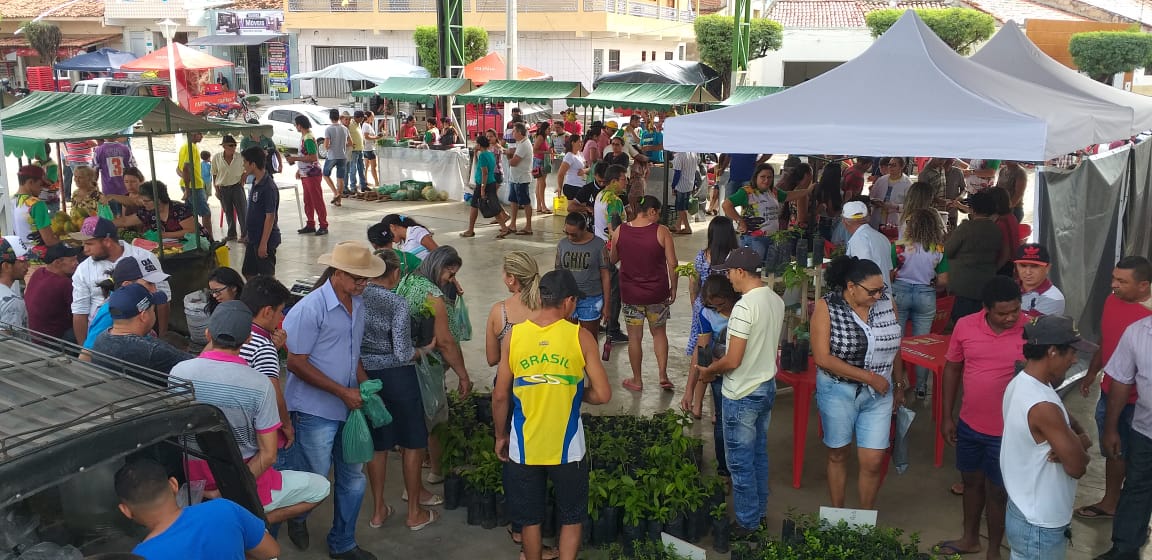 FEIRA6.jpg