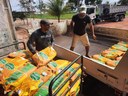 Sementes - Distribuição Polo Esperança PB.jpg