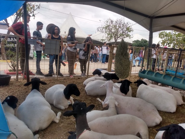 Foto: Reprodução/Secom Paraíba