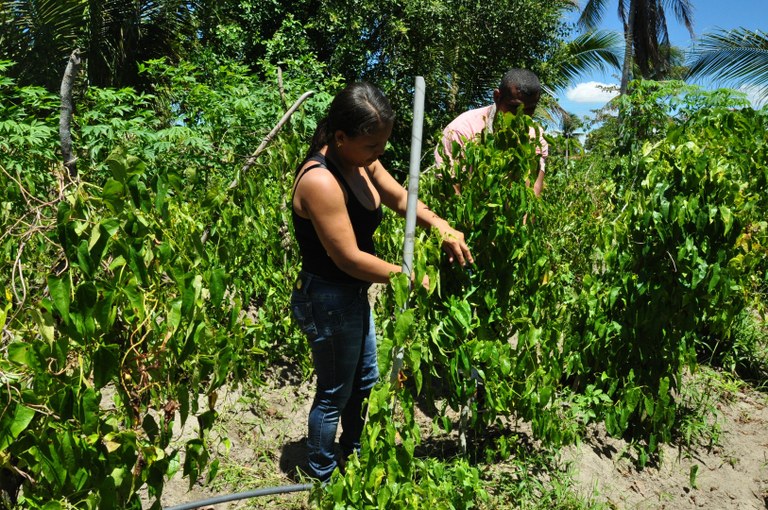 Agricultora 18-03.JPG