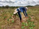 Agricultora3 18-03.JPG