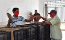 28-09-21    PAA-Programa de Aquisição de Alimento em Alhandra (21).JPG