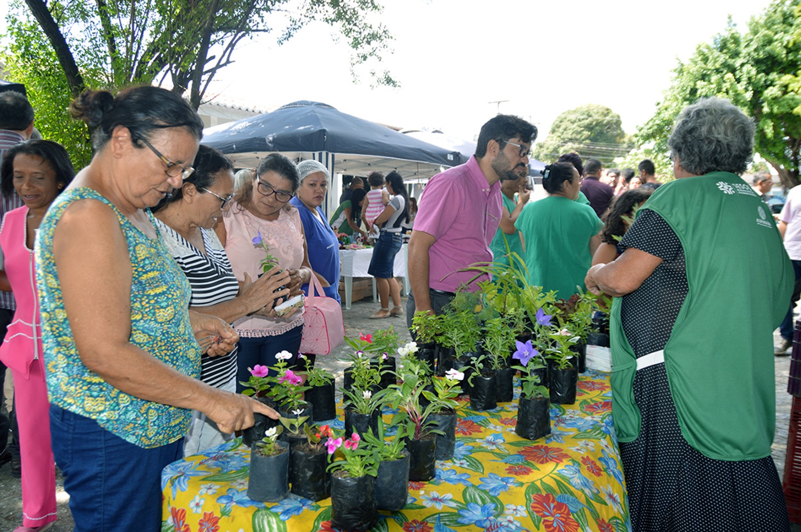 09-10-2019 1ª Mostra Agricultura Familiar - fotos Luciana Bessa (14).JPG