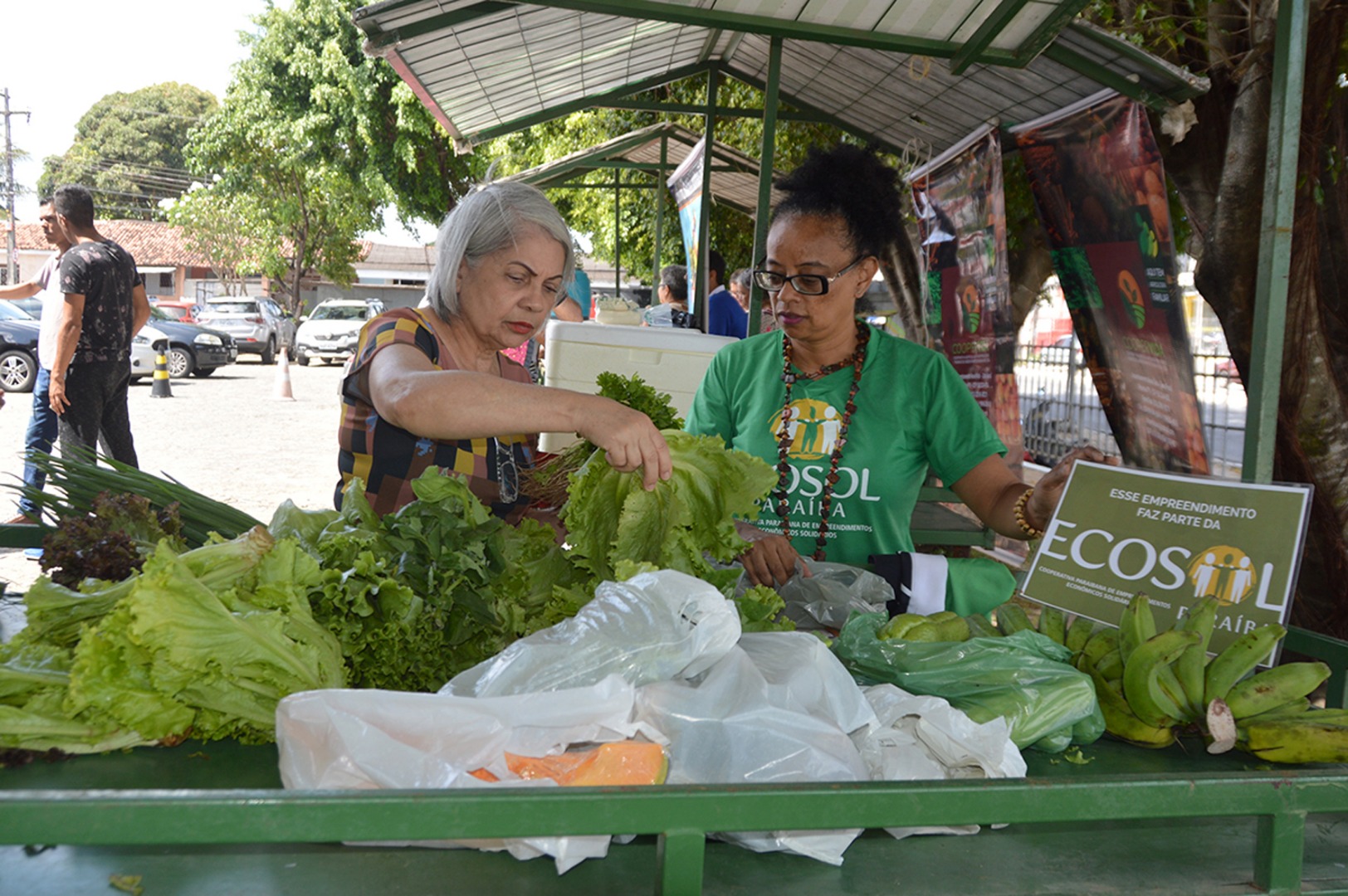 09-10-2019 1ª Mostra Agricultura Familiar - fotos Luciana Bessa (28).JPG